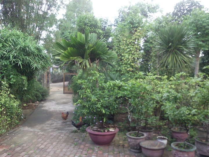 Ru ta về kỷ niệm