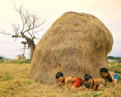Cây rơm ngày cũ – Lê Thí