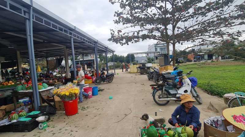 Nhạc không lời mừng xuân 2025